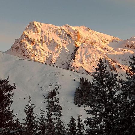 Appartement T2 Col De Merdassier Au Pied Des Pistes Manigod Dış mekan fotoğraf