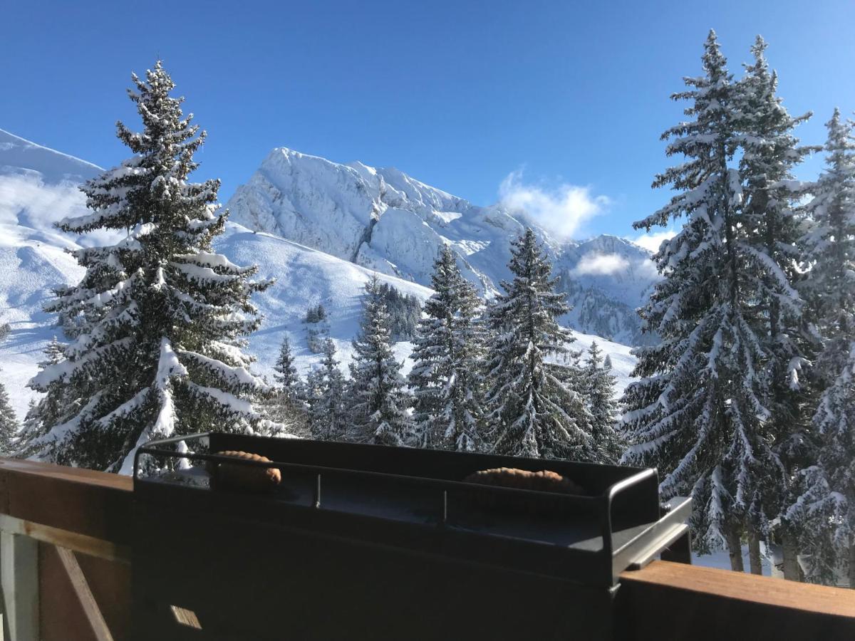 Appartement T2 Col De Merdassier Au Pied Des Pistes Manigod Dış mekan fotoğraf